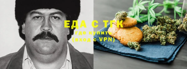 индика Армянск