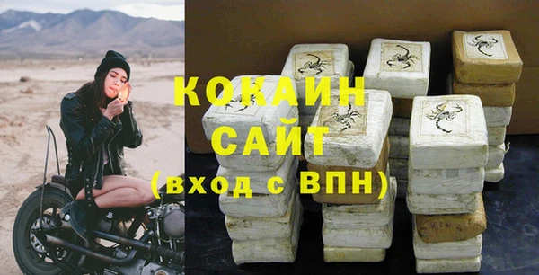 индика Армянск