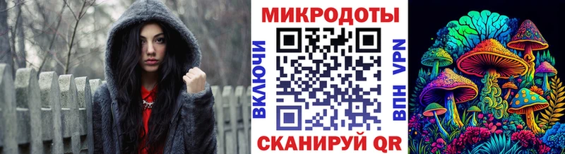 Купить  Скопин  Псилоцибиновые грибы Psilocybe 